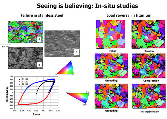 Seeing is believing: In-situ studies 