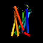 Structural model of the C5a receptor generated using the program modeller